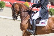 FEI European Championship Eventing 2017
