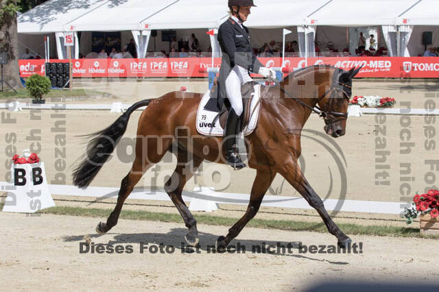 FEI European Championship Eventing 2017