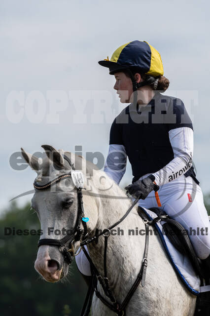 Goldene Schärpe 2021 - Ponys