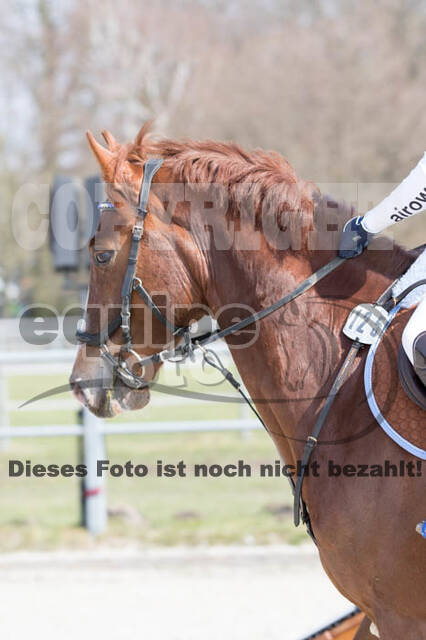 Eventing Langenfeld 2018