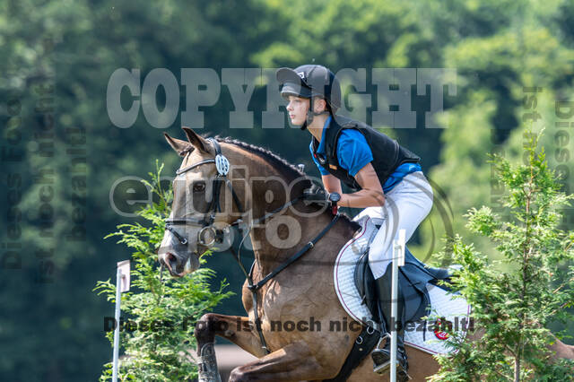 Goldene Schärpe 2021 - Ponys