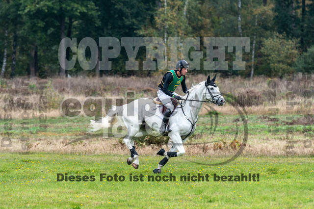 Deutsche Meisterschaft Vielseitigkeit (Luhmühlen)