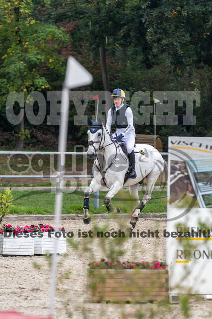 Goldene Schärpe 2020 - Pferde