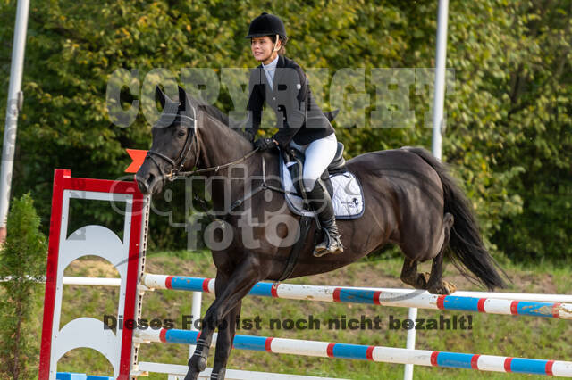 RFV Dinslaken-Hiesfeld (Herbstturnier)