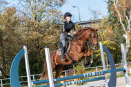 IGV Lehrgang der Sieger der Cups mit Frank Ostholt