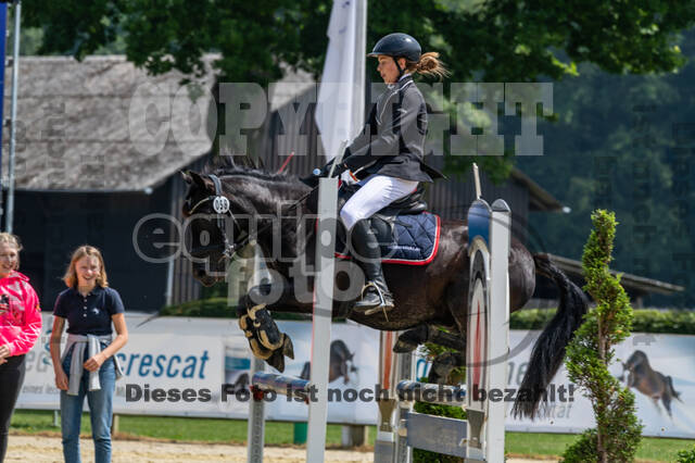 Goldene Schärpe 2021 - Ponys