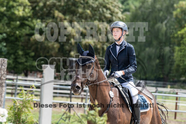 Late-Entry-Vielseitigkeit Langenfeld (06.+07.07.2020)