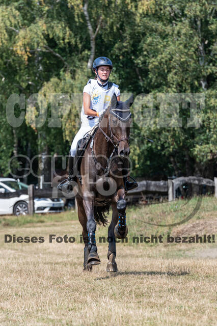 Late-Entry Vielseitigkeit Hamminkeln/Wesel (01.+02.08.2020)