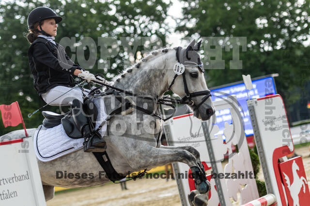 Goldene Schärpe 2021 - Ponys