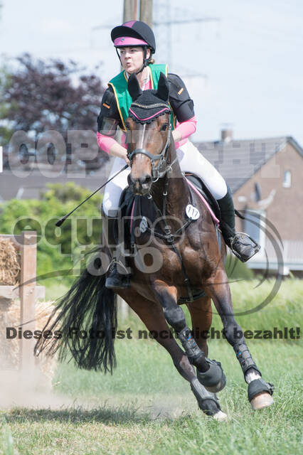 Vielseitigkeitsturnier ZRuFV von Lützow Hamminkeln