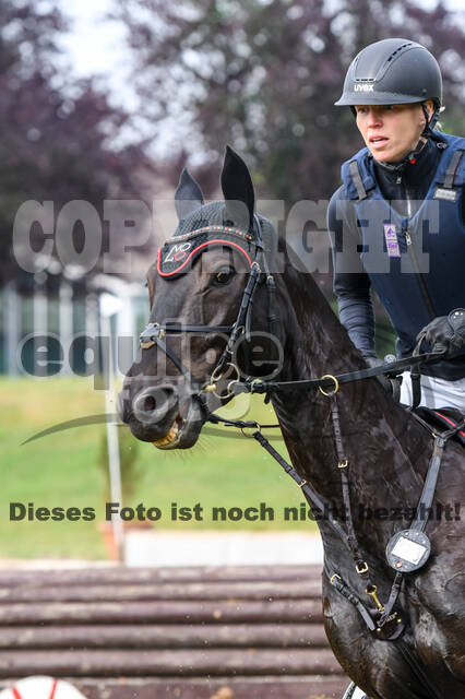 Late-Entry-Vielseitigkeit Langenfeld (11.+13./14.06.2020)