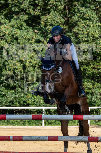 RFV Dinslaken-Hiesfeld (Herbstturnier)