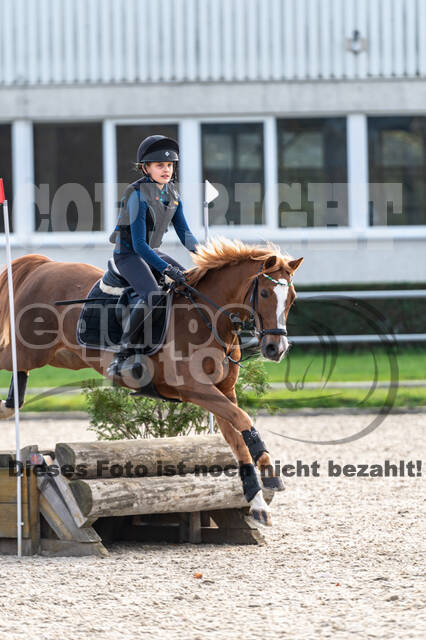 IGV Lehrgang der Sieger der Cups mit Frank Ostholt