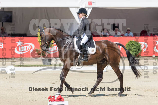 FEI European Championship Eventing 2017