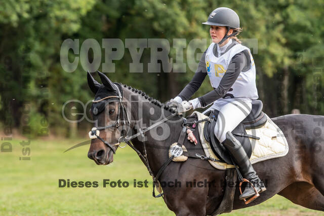 Vielseitigkeit RSV Wesel Obrighoven (26.+27.09.2020)