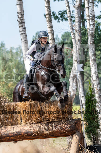 De Peelbergen (August 2020)