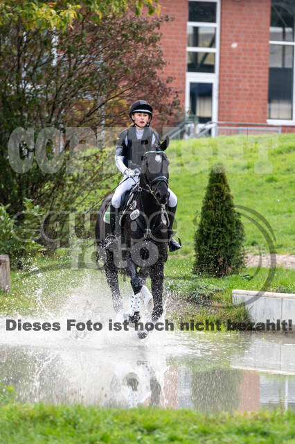 Goldene Schärpe 2020 - Pferde