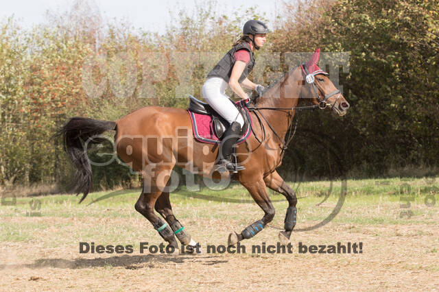 IGV Kleve