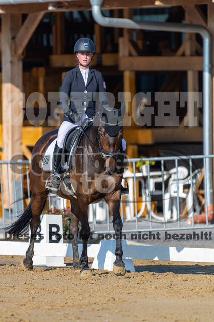 Westerstede Horse Trials 2021