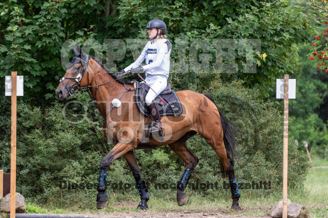 Late-Entry-Vielseitigkeit Gahlen (18.07.2020)