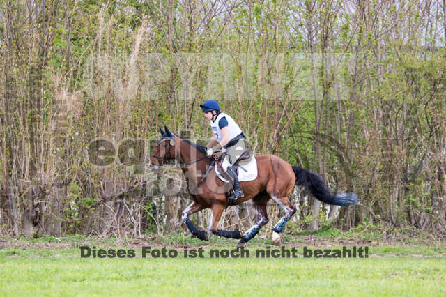 Vielseitigkeitsturnier RV Lippe-Bruch-Gahlen
