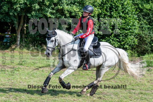 Goldene Schärpe 2021 - Ponys