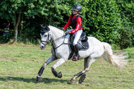 Goldene Schärpe 2021 - Ponys