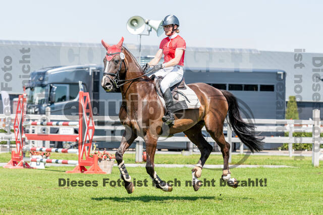 Kronenberg - De Peelbergen (August 2020)