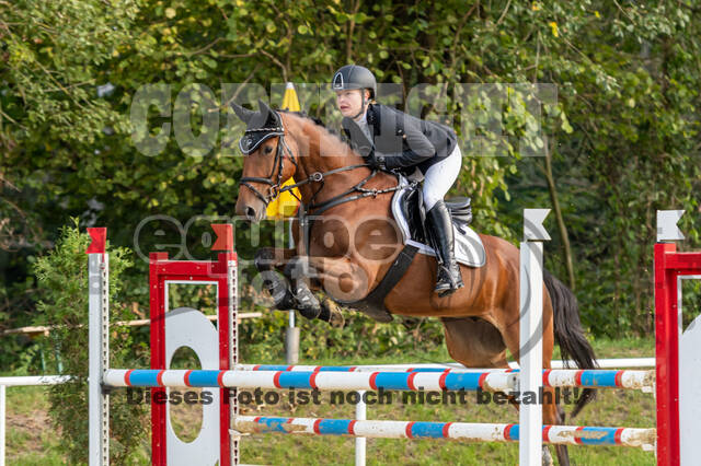 RFV Dinslaken-Hiesfeld (Herbstturnier)