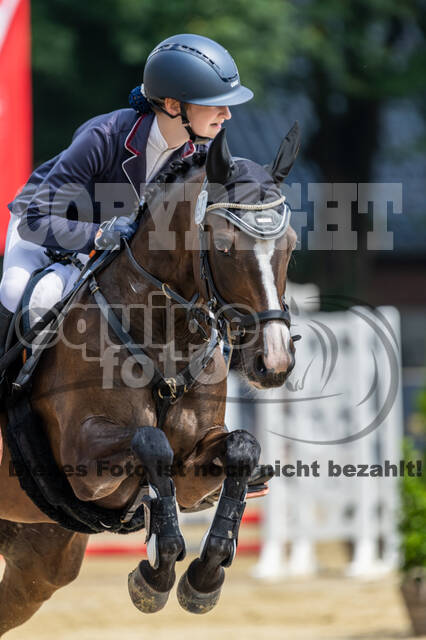 Goldene Schärpe 2021 - Ponys
