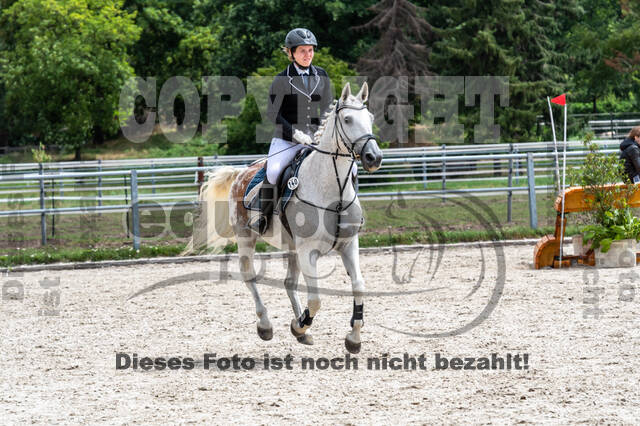 Late-Entry-Vielseitigkeit Langenfeld (06.+07.07.2020)