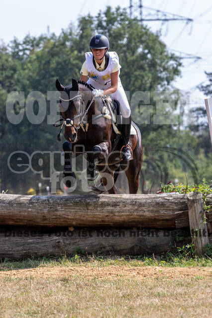 Late-Entry Vielseitigkeit Hamminkeln/Wesel (01.+02.08.2020)