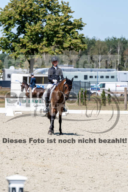 Kronenberg - De Peelbergen (August 2020)