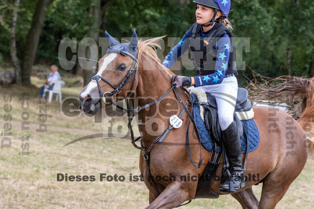 Late-Entry Vielseitigkeit Hamminkeln/Wesel (01.+02.08.2020)