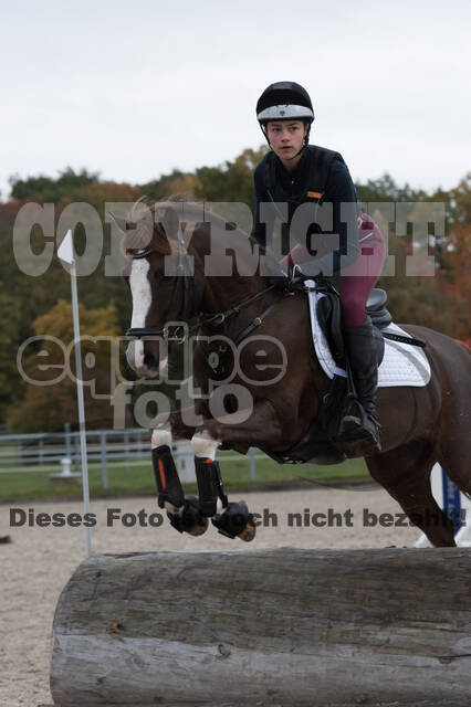 IGV Lehrgang der Sieger der Cups mit Frank Ostholt