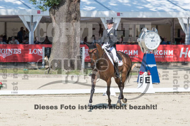FEI European Championship Eventing 2017