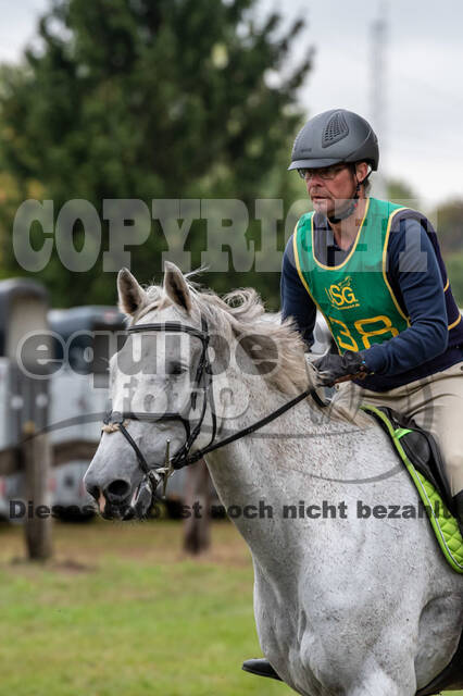 Vielseitigkeit RSV Wesel Obrighoven (26.+27.09.2020)