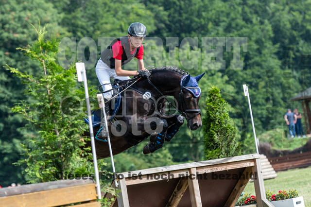 Goldene Schärpe 2021 - Ponys