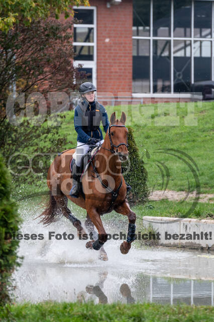 Goldene Schärpe 2020 - Pferde