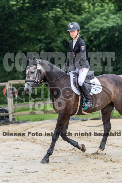 Goldene Schärpe 2021 - Ponys