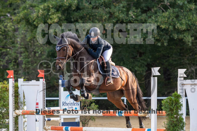 RFV Dinslaken-Hiesfeld (Herbstturnier)