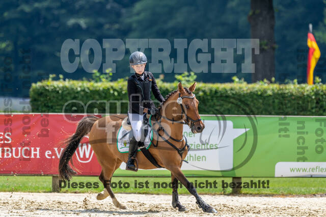 Goldene Schärpe 2021 - Ponys