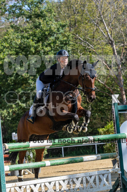 RFV Dinslaken-Hiesfeld (Herbstturnier)