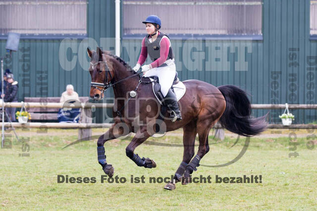 Jungpferdetag Hamminkeln