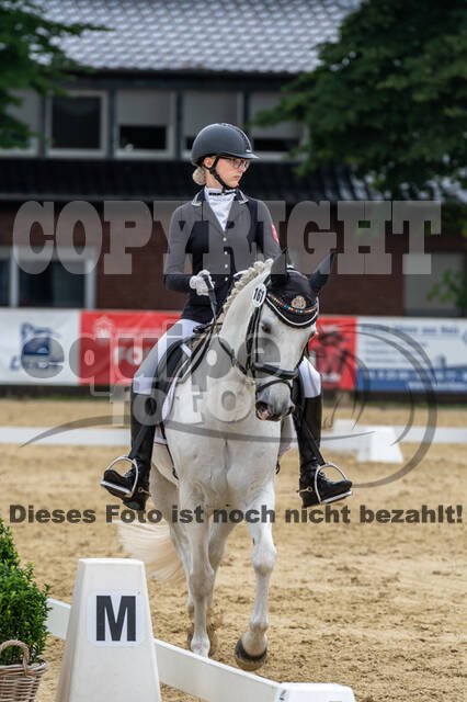 Goldene Schärpe 2021 - Ponys