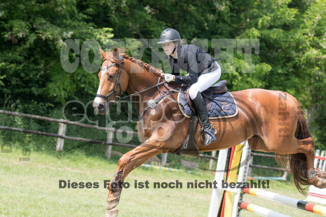 Vielseitigkeitsturnier ZRuFV von Lützow Hamminkeln