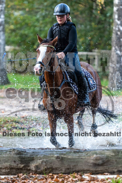 IGV Lehrgang der Sieger der Cups mit Frank Ostholt