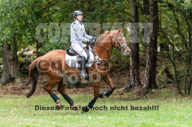 Vielseitigkeit RSV Wesel Obrighoven (26.+27.09.2020)