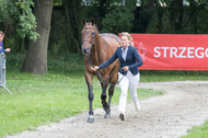 FEI European Championship Eventing 2017