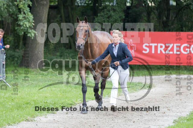 FEI European Championship Eventing 2017